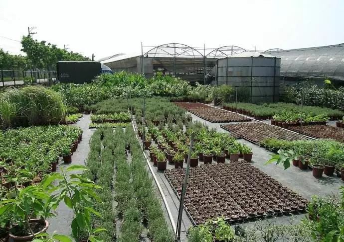 国家启动家庭农场:这2个角度6种类型,农场:种植、社区、亲子为一体,年入园人次10万+!你如何做好农场运营?