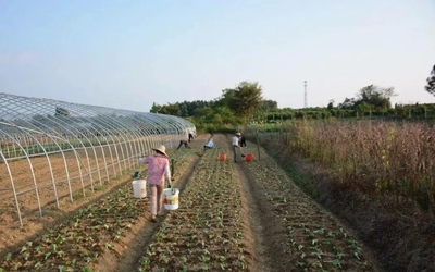 高淳固城街道两家庭农场分获省级示范家庭农场和典型案例