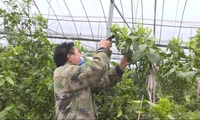 县市聚焦|| 常山:春耕备耕正当时,不负农时不负春