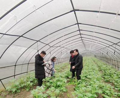我校农村发展领域导师石潇纯教授等前往冷水江市泗元家庭农场开展调研