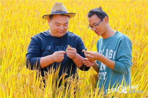 如皋网红 大米哥 上了交汇点新闻