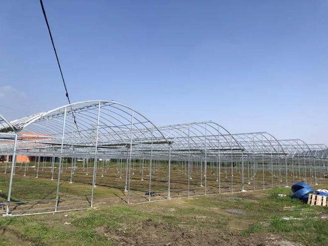计划投资1800余万元!普陀建起海岛“蔬菜工厂”