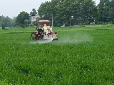 桐城青草:小镇出了个深耕沃土的“全国劳模”