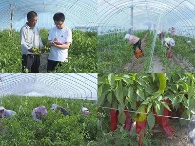 早安 固原|2021年8月5日 星期四