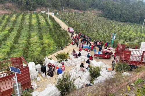 绵阳梓潼 新型农业经营体架起农民家门口的 致富桥