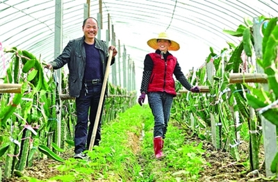 山东省委农工办:家庭农场和专业大户没本质区别
