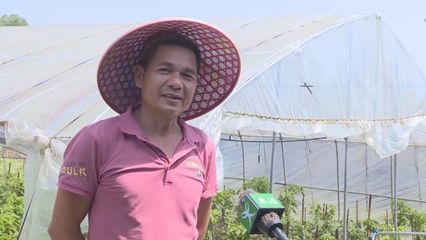 岑溪:小小家庭农场 助力乡村振兴 年产值约80万元