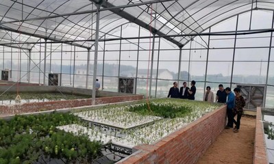 市农业农村局组织开展蔬菜科技下乡活动