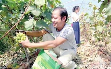 孝感市黄丝堤种植家庭农场好玩吗?黄丝堤种植家庭农场游玩攻略