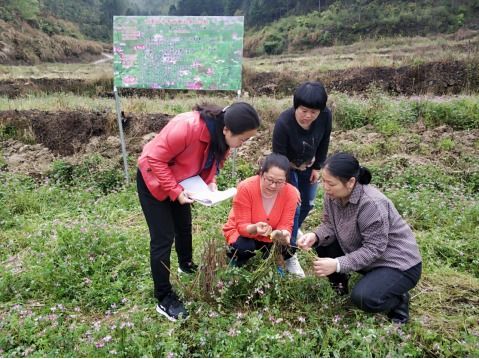 农业科技助推乡村振兴 绿色发展