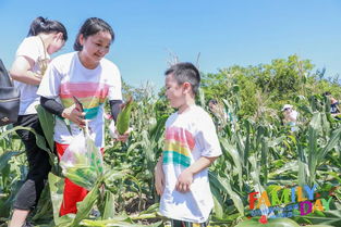 因为光明 所以温暖 首届光明食品集团员工专属家庭日活动在五四农场举行,献礼建国70周年