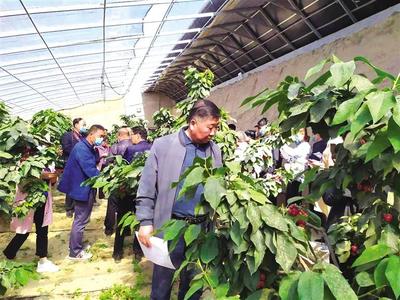 俞更才:最大的愿望就是增加农民收入
