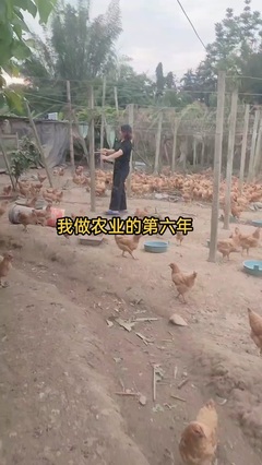 芸惠家庭农场