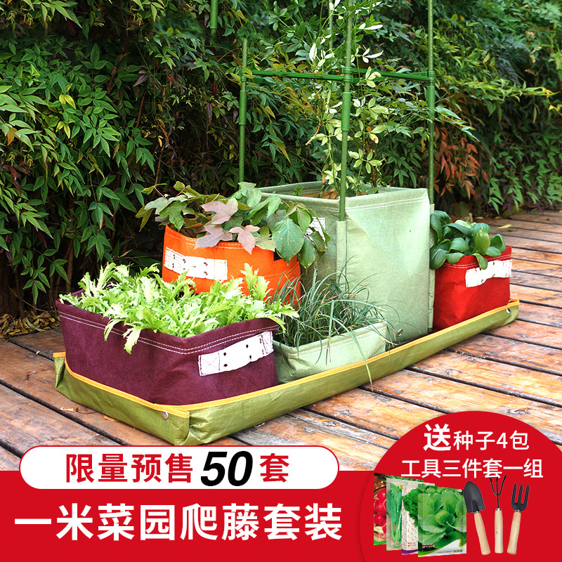 怎样自己在家种菜尚鼎丰梦田天空农场种植师教您打造家庭阳台.