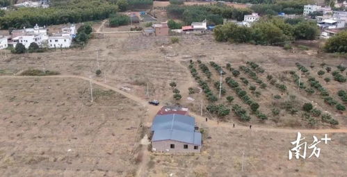 韶关翁源县清海家庭农场被评为 广东省示范家庭农场