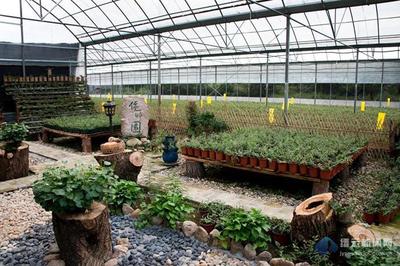 缙云入选首批省级家庭农场整体提升试点县 助力种植家庭农场高质量发展